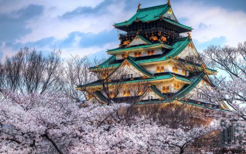日本留学申请：为什么选择去日本留学?